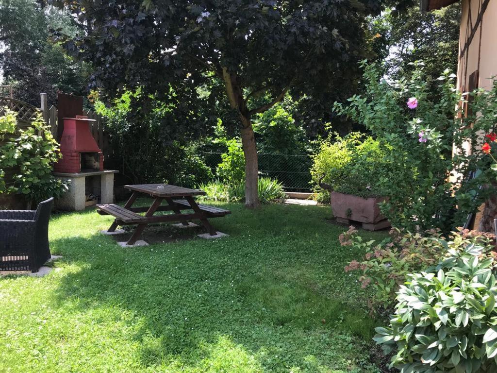 Gite De La Streng Ribeauvillé Exteriör bild